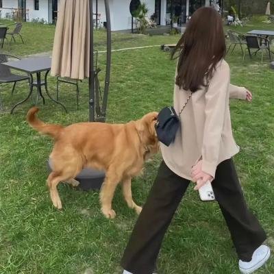 昆塔:盒子总动员
